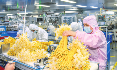 正在自贸港全岛封关运做的汗青